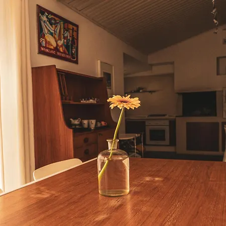 Ferienhaus Acasha Loft *